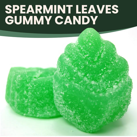 Spearmint Leaves Gummy Candy Christmas Candy - 5 Pounds