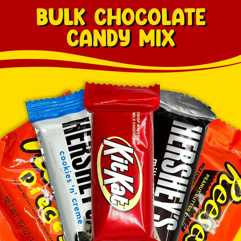 Bulk Chocolate Candy Mix Miniature Size