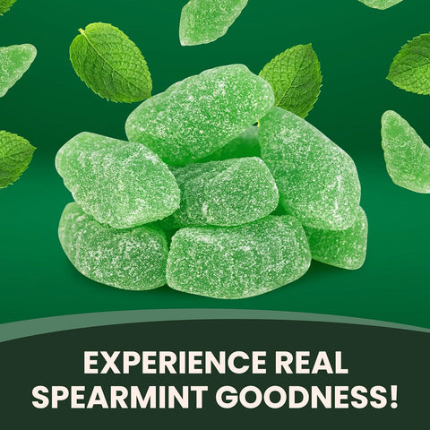 Spearmint Leaves Gummy Candy Christmas Candy - 5 Pounds